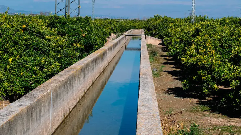 Una acequia en un campo. ARCHIVO