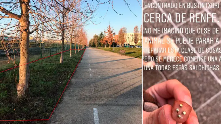 Trozo de carne con alfileres encontrado en Buztintxuri. CEDIDA