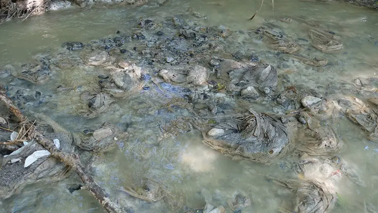 Vertidos de suciedad en el río Alhama a su paso por Corella. GURELUR