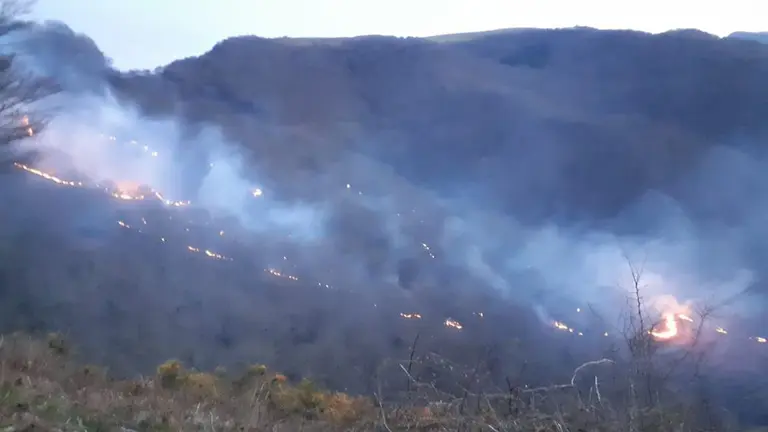 Incendio junto al puerto de Belate BOMBEROS FORESTALES DE NAVARRA