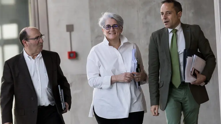 Lourdes Goicoechea, expresidenta de Sodena y exconsejera de Economía, Industria y Empleo, comparece en la comisión de investigación sobre dicha empresa pública (03). IÑIGO ALZUGARAY