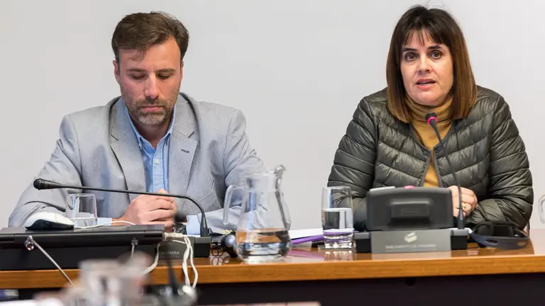 Representantes de la federación de apymas de colegios British-PAI Britila exponen su criterio en relación al desarrollo y tratamiento del PAI en esta legislatura (06). IÑIGO ALZUGARAY
