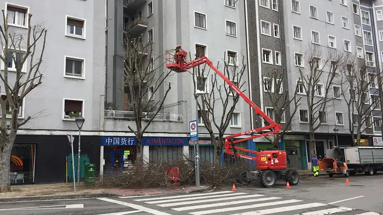 Tala de las copas de los árboles en la Avenida de Sancho el Fuerte de Pamplona.