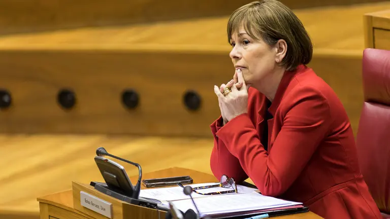 Pleno del Parlamento de Navarra (21). IÑIGO ALZUGARAY