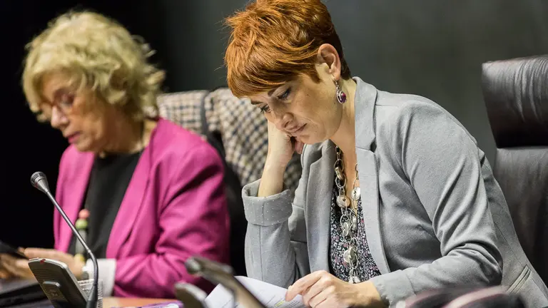 Pleno del Parlamento de Navarra (21). IÑIGO ALZUGARAY