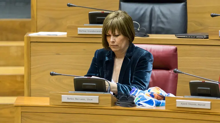 Pleno del Parlamento de Navarra (31). IÑIGO ALZUGARAY