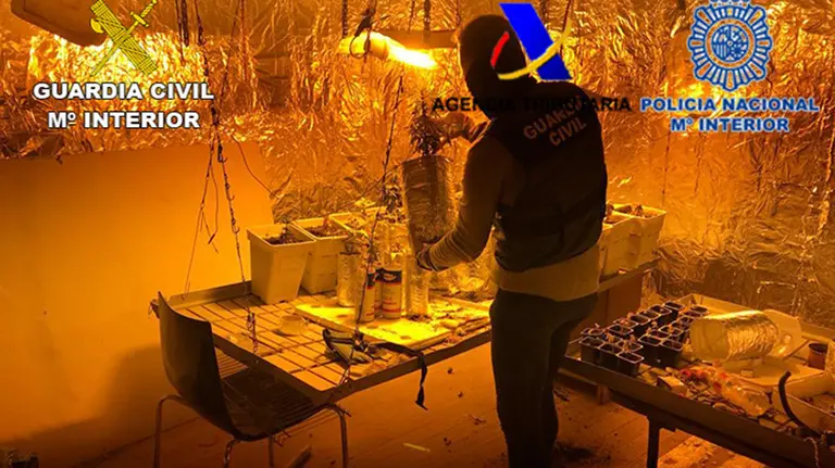 Imágenes del dinero y la droga incautada en la operación Piperrak-Príncipe que ha desmantelado en Navarra el mayor laboratorio de speed de España GUARDIA CIVIL 2