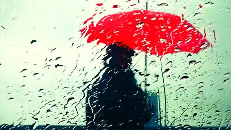 Imagen de la portada de la novela Patria, de Fernando Aramburu CEDIDA