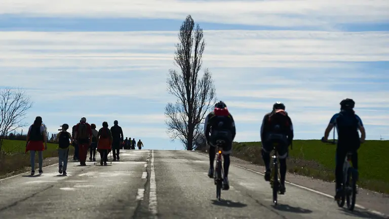 Miles de peregrinos participan en la segunda Javierada de 2019. PABLO LASAOSA 22
