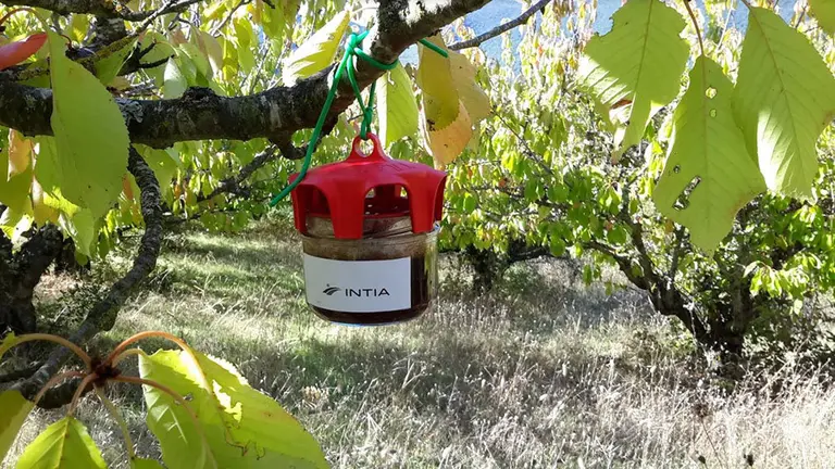 INTIA controla, a través de su Estación de Avisos, más de cien plagas y enfermedades INTIA