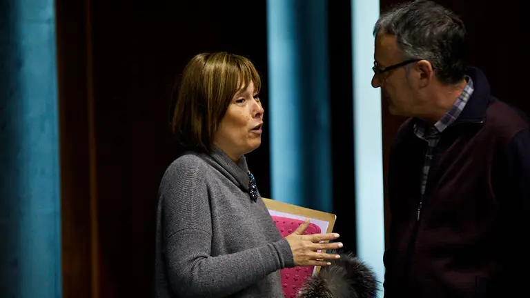 Pleno del Parlamento de Navarra (06). IÑIGO ALZUGARAY
