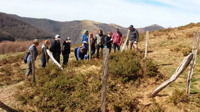 Alumnos estadounidenses visitan una parcela experimental de INTIA en Roncesvalles. CEDIDA
