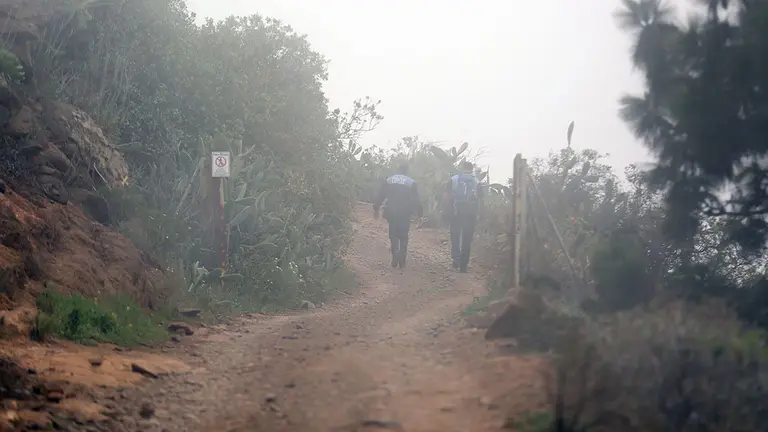 Agentes durante la búsqueda en la zona de Taucho del municipio de Adeje.  EFE