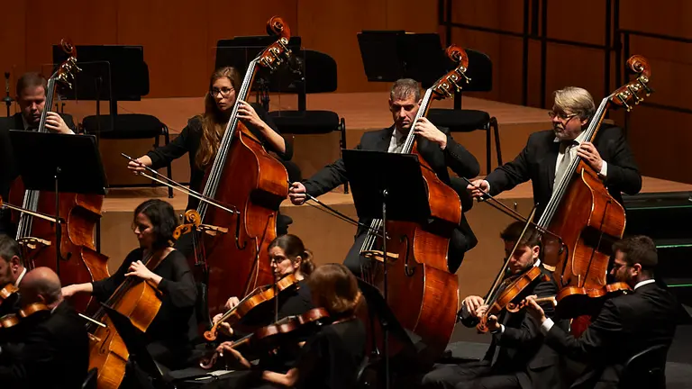 Concierto de la OSN en Baluarte con Amaury Coeytaux en el violín y Manuel Hernández-Silva como director. PABLO LASAOSA (4)