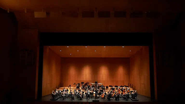 Concierto de la OSN en Baluarte con Amaury Coeytaux en el violín y Manuel Hernández-Silva como director. PABLO LASAOSA (9)