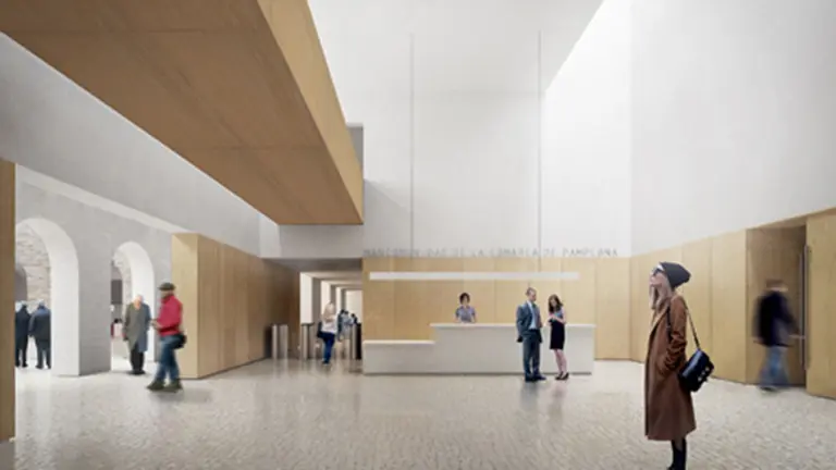 recepcion proyecto salesas web