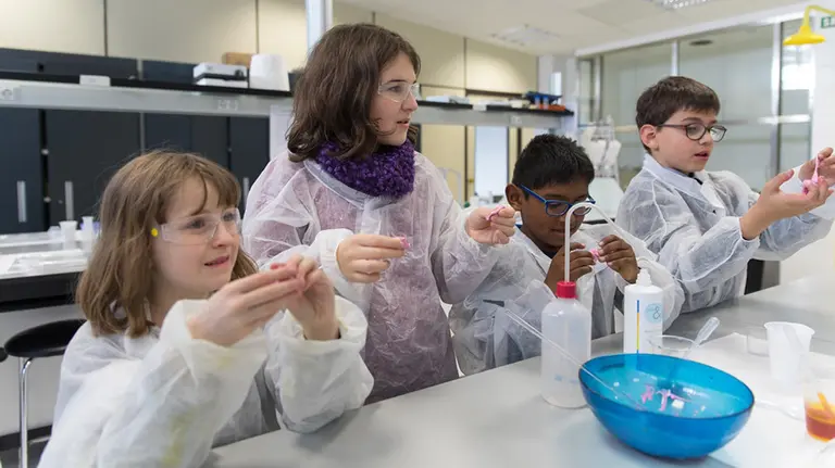 La Universidad de Navarra lanza los campamentos de verano Cienceando sobre química y naturaleza a través del Museo de Ciencias. UNAV