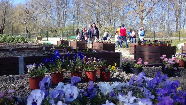 Imagen del huerto urbano de la Chantrea impulsado por el Ayuntamiento de Pamplona IMAGEN CEDIDA