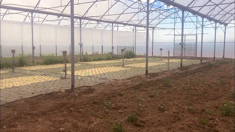 Imagen de la finca experimental de INTIA en Sartaguda. CEDIDA