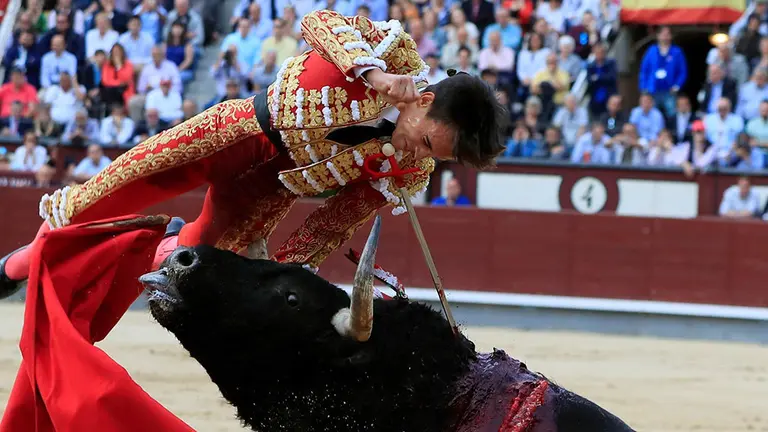 GRAF5734. MADRID, 21/05/2019.- El diestro Gonzalo Caballero sufre una cogida al entrar a matar a su primer toro durante el octavo festejo de la Feria de San Isidro, esta tarde en la Monumental de Las Ventas, con toros de la ganader..a de El Pilar y donde comparte cartel con los matadores Juan del ..lamo y Jos.. Garrido. EFE/Fernando Alvarado