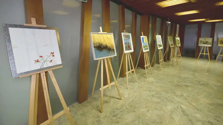 Imgen de la exposición luz y color del pamplonés Francisco Escudero CITI NAVARRA