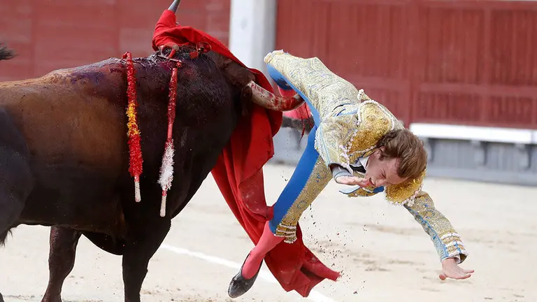 GRAF6010. MADRID, 09/06/2019.- El diestro Rom..n Collado cogido por el primero de su lote durante su faena con la muleta en la corrida celebrada esta tarde en la plaza de toros de Las Ventas, compartiendo cartel con Pepe Moral y Curro D..az, lidiando reses de Baltasar Ib..n. EFE/Ballesteros.