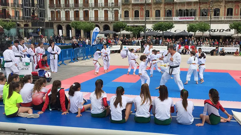Exhibición de kárate de la SDC Echavacoiz en la Plaza del Castillo..