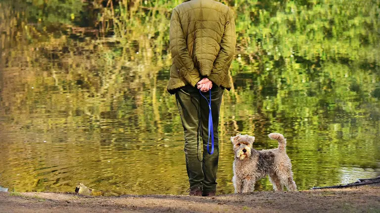 Una persona pasea por un parque con un perro atado con una correa ARCHIVO