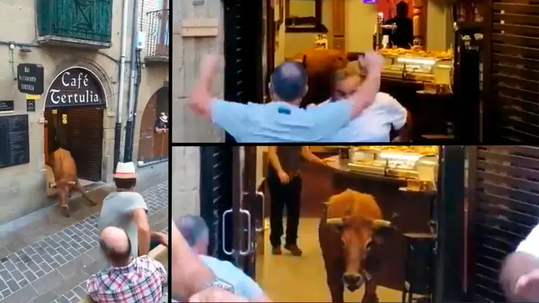 Una vaca se cuela dentro de un bar durante un encierro en la localidad alavesa de Laguardia. Fotos: TWITTER