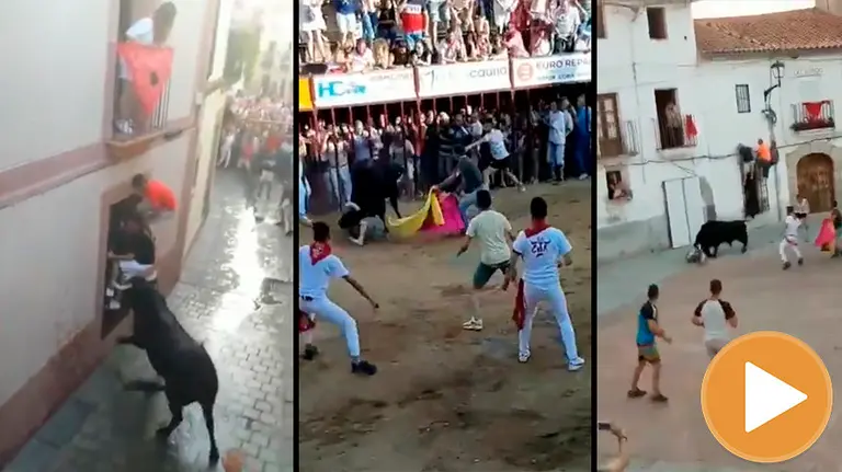 Encierro en la localidad cacereña de Coria (player)