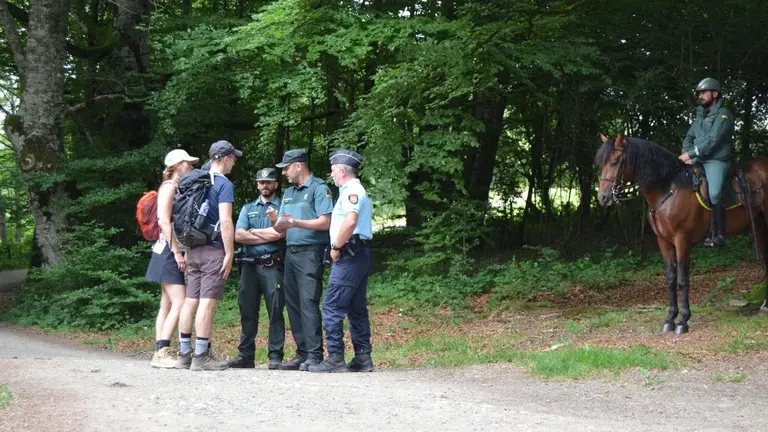 Cicloturista herido en Allotz a través del camino de santiago
