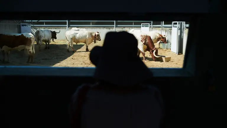 Jóvenes y mayores acceden a los Corralillos del Gas para ver a los toros antes de San Fermín 2019. PABLO LASAOSA 6