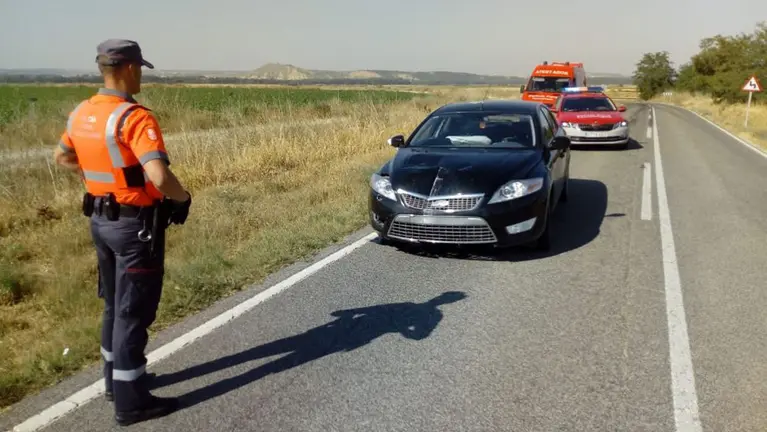 Un conductor interceptado tras darse accidentarse mientras se daba a la fuga en un control en Caparroso POLICÍA FORAL