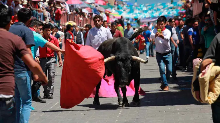 Encierro celebrado en México DIARIO DE MÉXICO