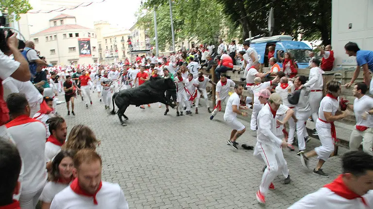 Los toros de Puerto de San Lorenzo recorren las calles de Pamplona. JOSÉ ESPARTOSA (2)