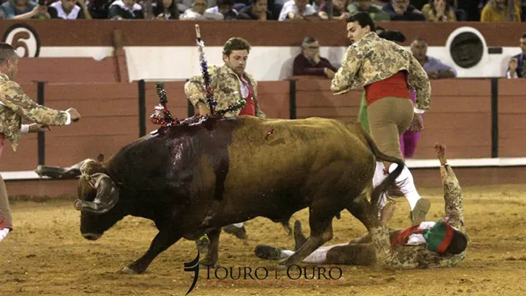 El forcado Luis Fera, del Grupo de Aposento da Moita, sufre una aparatosa cogida en la plaza portuguesa de Coruche y se encuentra en coma Foto TOUROEOURO