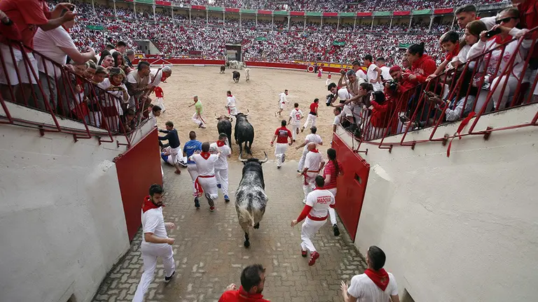 Reses de la ganadería gaditana de Cebada Gago hacen su entrada en la Plaza de Toros de Pamplona durante el segundo encierro de los Sanfermines 2019. EFE/Peio H.