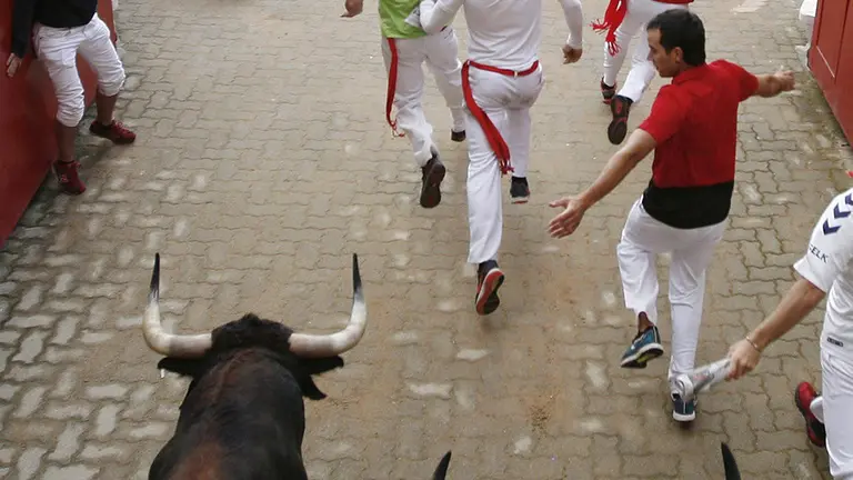 Reses de la ganadería gaditana de Cebada Gago hacen su entrada en la Plaza de Toros de Pamplona durante el segundo encierro de los Sanfermines 2019. EFE/Peio H.