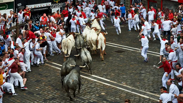 Tercer encierro de las fiestas de sanfermin de 2019 con toros de la ganaderia de José Escolar en el tramo del Ayuntamiento. MIGUEL OSÉS