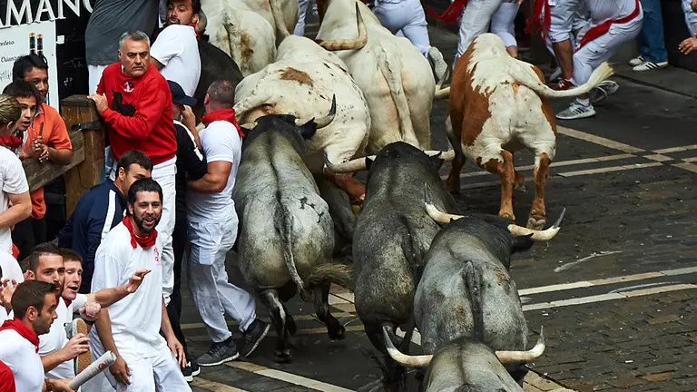 Tercer encierro de las fiestas de sanfermin de 2019 con toros de la ganaderia de José Escolar en el tramo del Ayuntamiento. MIGUEL OSÉS