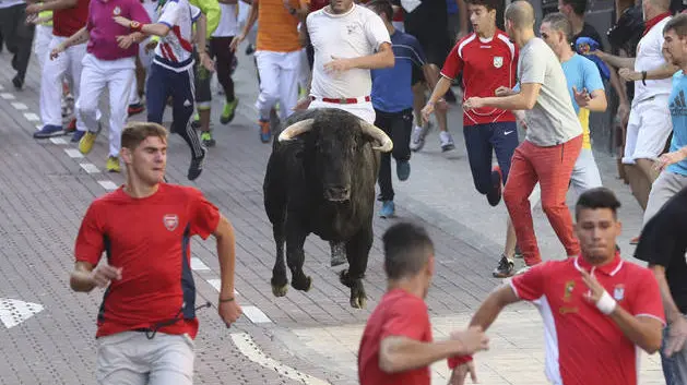 Encierro San Sebastián de los Reyes
