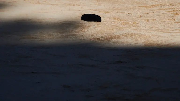 Cuarta corrida de la Feria del toro con toros de Jandilla para los diestros Diego Urdiales, Sebastián Castiella y Andrés Roca Rey 25