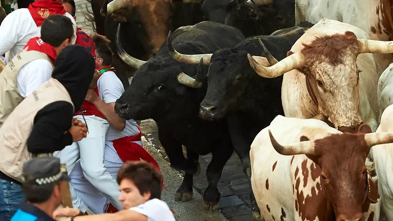 Quinto encierro de las fiestas de San Fermín 2019 con la ganadería de Victoriano del Rio en el tramo del Ayuntamiento. MIGUEL OSÉS