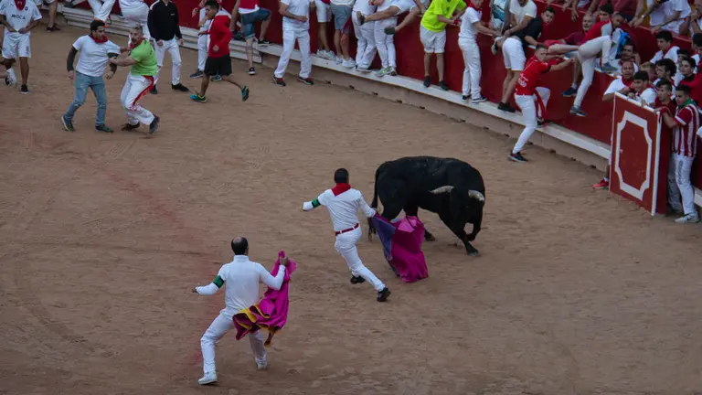 Dia 11, quinto encierro de San Fermín con toros de Victoriano del Río en la plaza de toros, Pamplona . NOEMÍ VERA  _21