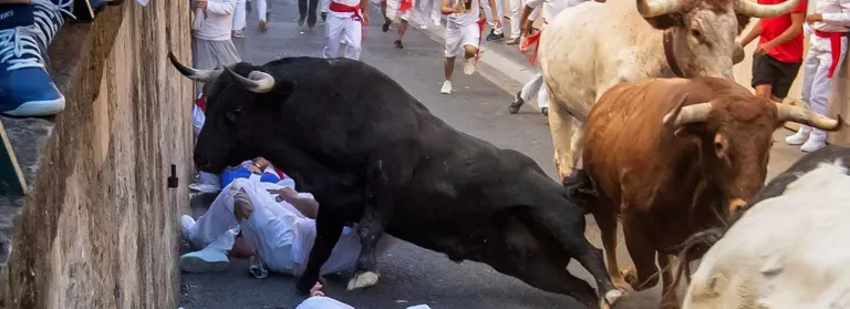 Pamplona (Spain), 12/07/2019.- Bull runner and fighting bulls from the ranch of Nunez de Cuvillo run on the old city streets in Pamplona, northern Spain in the sixth 'encierro,' or running-with-the-bulls, during the Sanfermines festivities in Pamplona, Spain, 12 July 2019. The festival of San Fermin, locally known as Sanfermines, is held annually from 06 to 14 July in commemoration of the city's patron saint. Hundreds of thousands of visitors from all over the world attend the fiesta. Many of them physically participate in the highlight event - the running of the bulls, or encierro - where they attempt to outrun the bulls along a route through the narrow streets of Pamplona's old city. (España, Estados Unidos) EFE/EPA/JIM HOLLANDER