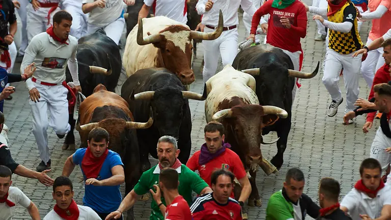 Séptimo encierro de las fiestas de San Fermín 2019 con toros de La Palmosilla en la bajada al callejón. PABLO LASAOSA 2