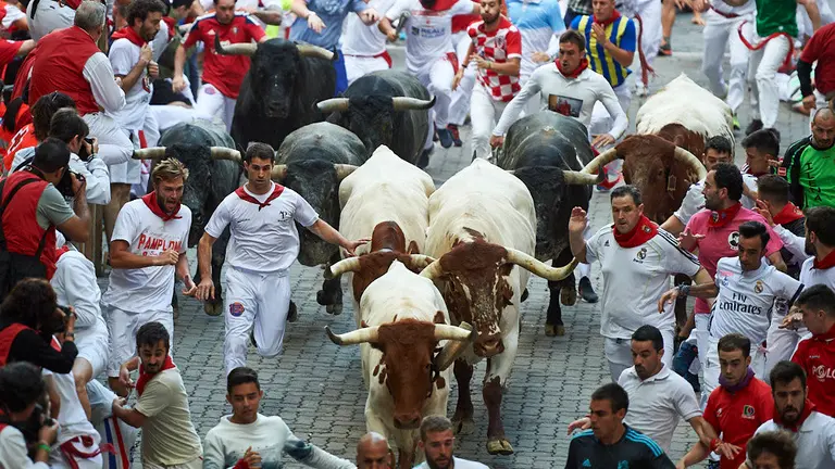 Último encierro de las fiestas de San Fermín 2019 con la ganadería de Miura en el tramo de la bajada al callejón. MIGULE OSÉS