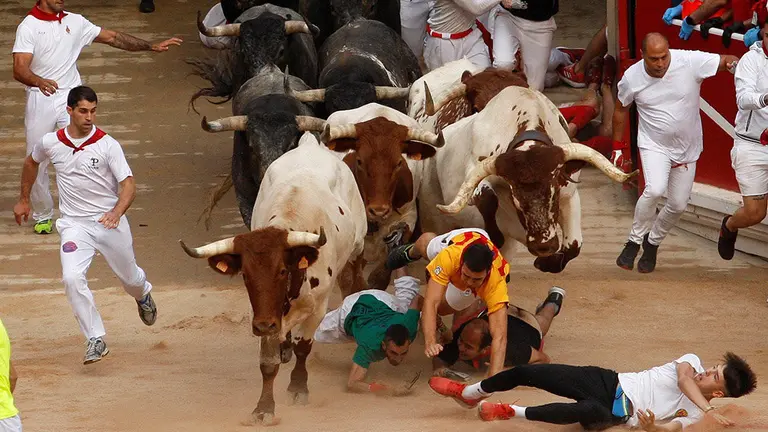 GR7040. PAMPLONA, 14/07/2019.-Los toros de la ganadería sevillana de Miura, a su entrada en la plaza de Toros de Pamplona, durante el octavo y último encierro de los Sanfermines 2019. EFE/Manuel Castells