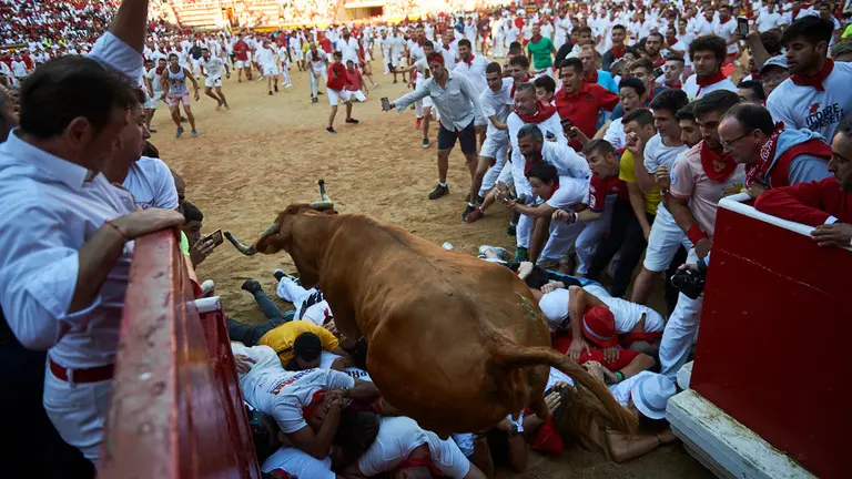 Vaquillas en la plaza de toros tras el encierro. MIGUEL OSÉS