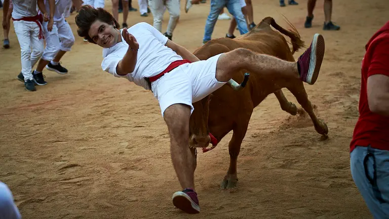 Vaquillas en la plaza de toros tras el encierro. MIGUEL OSÉS